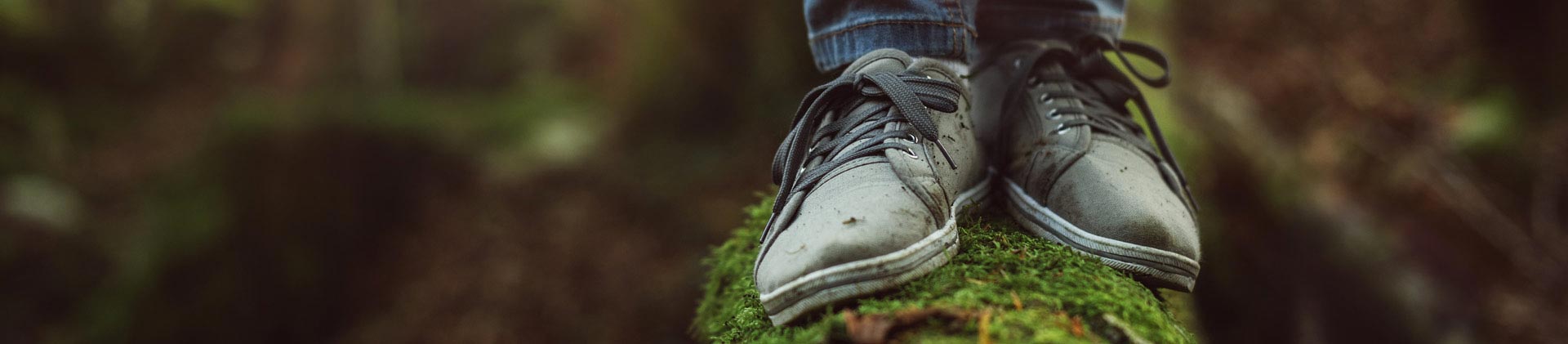 JUNTOS PARA CREAR UN FUTURO MEJOR