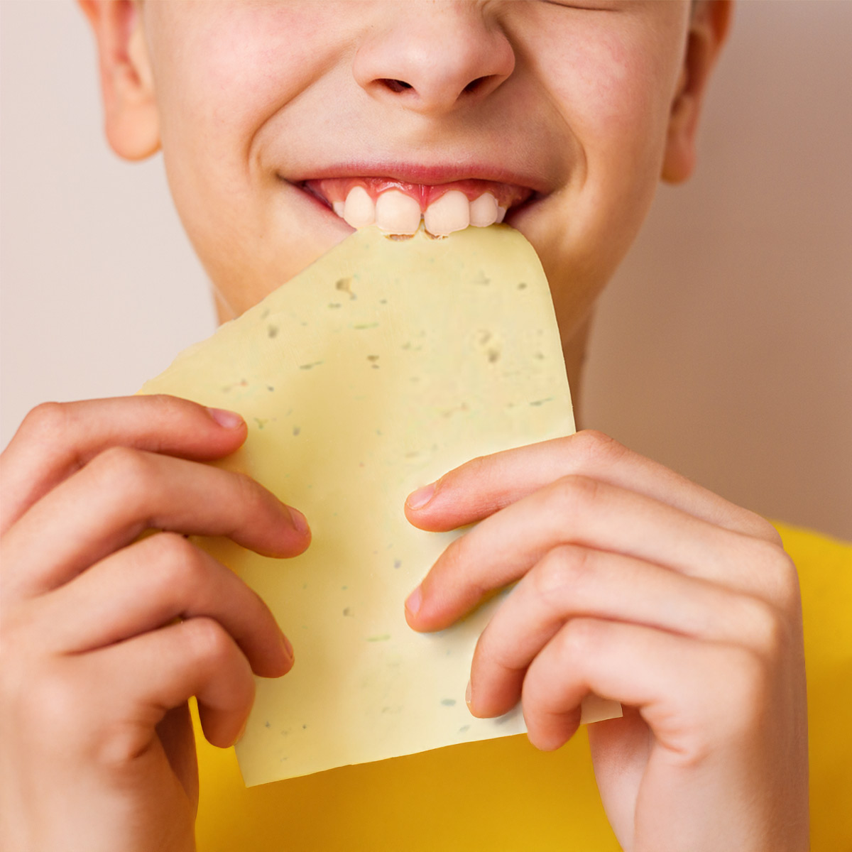  HAVARTI CREMOSO, TU APORTE DIARIO DE PROTEÍNA