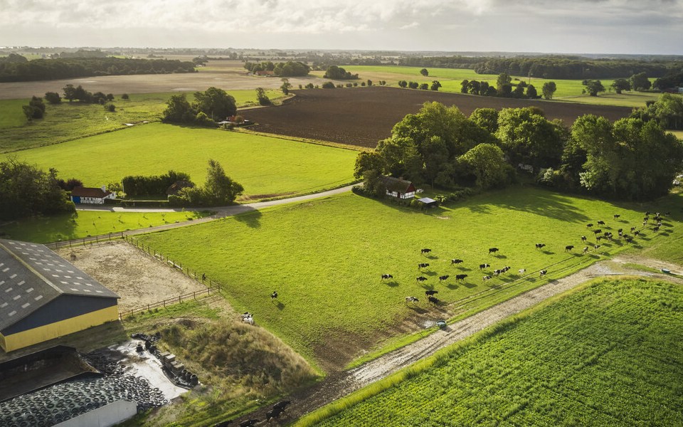 Ambición climática 2025