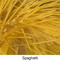 spaghetti