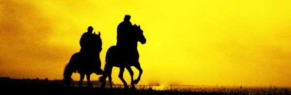 equitacion blog