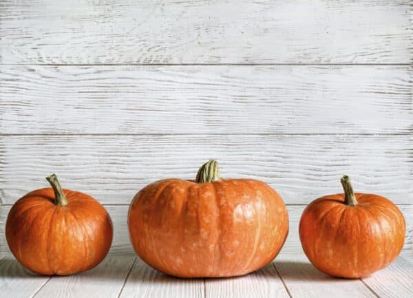 semillas de calabaza