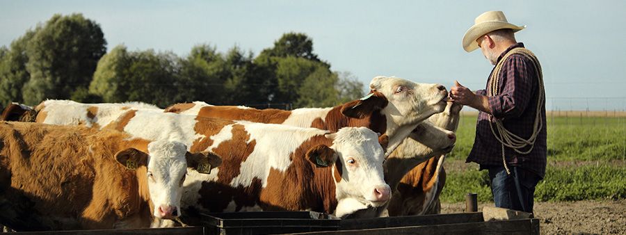 Trazabilidad alimentaria arla