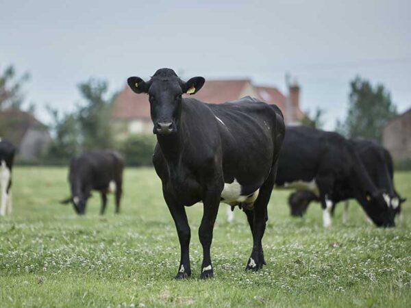 Arlagarden, Garantía de Calidad en la Granja